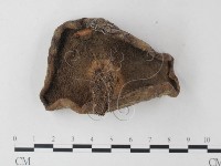 登錄號:F0023346藏品圖，第3張