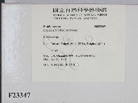 登錄號:F0023347藏品圖，第2張