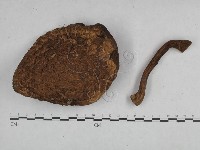 登錄號:F0023347藏品圖，第3張