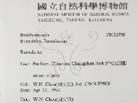 紅菇屬藏品圖，第2張