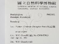 紅菇屬藏品圖，第2張