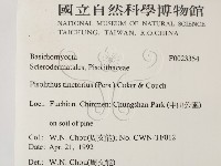 登錄號:F0023354藏品圖，第2張
