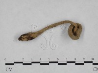 登錄號:F0023357藏品圖，第3張