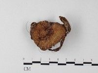 登錄號:F0023360藏品圖，第3張