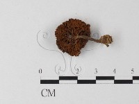 登錄號:F0023361藏品圖，第1張