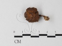 登錄號:F0023361藏品圖，第3張