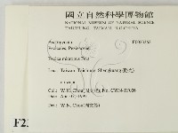 登錄號:F0023363藏品圖，第2張