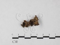 登錄號:F0023363藏品圖，第1張