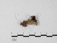 登錄號:F0023363藏品圖，第3張