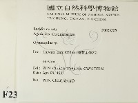 登錄號:F0023365藏品圖，第2張