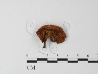 登錄號:F0023365藏品圖，第1張