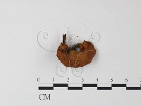 登錄號:F0023365藏品圖，第3張