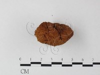 登錄號:F0023366藏品圖，第3張