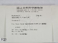 登錄號:F0023368藏品圖，第2張