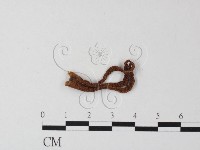 登錄號:F0023373藏品圖，第3張