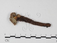 登錄號:F0023375藏品圖，第1張