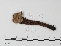 登錄號:F0023375藏品圖，第3張