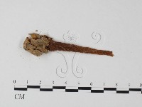 登錄號:F0023376藏品圖，第1張