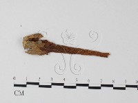 登錄號:F0023376藏品圖，第3張
