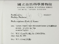 登錄號:F0023377藏品圖，第2張