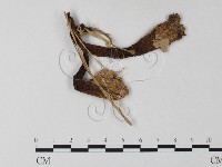 登錄號:F0023377藏品圖，第1張