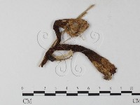 登錄號:F0023377藏品圖，第3張