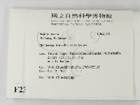 登錄號:F0023378藏品圖，第2張
