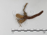 登錄號:F0023378藏品圖，第1張
