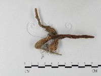 登錄號:F0023378藏品圖，第3張