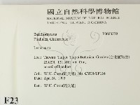 登錄號:F0023379藏品圖，第2張