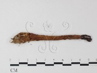 登錄號:F0023379藏品圖，第3張