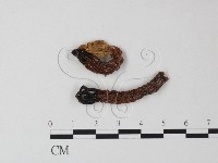 登錄號:F0023380藏品圖，第1張