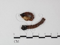 登錄號:F0023380藏品圖，第3張