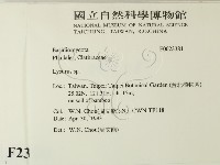 登錄號:F0023381藏品圖，第2張