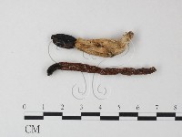 登錄號:F0023381藏品圖，第3張