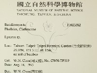 登錄號:F0023382藏品圖，第2張