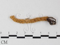 登錄號:F0023382藏品圖，第3張