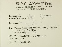 登錄號:F0023383藏品圖，第2張