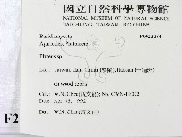 登錄號:F0023384藏品圖，第2張