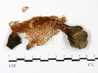 登錄號:F0023385藏品圖，第1張