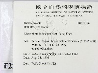 登錄號:F0023386藏品圖，第2張