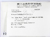 登錄號:F0023387藏品圖，第2張