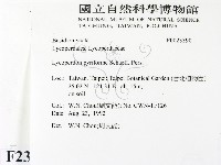 登錄號:F0023390藏品圖，第2張