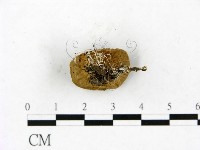 登錄號:F0023390藏品圖，第3張