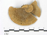 登錄號:F0023391藏品圖，第3張