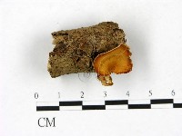 登錄號:F0023392藏品圖，第1張