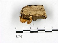 登錄號:F0023392藏品圖，第3張