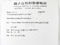 登錄號:F0023395藏品圖，第2張