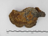 登錄號:F0023396藏品圖，第3張