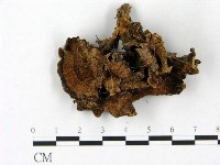 登錄號:F0023397藏品圖，第1張